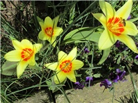 e07ea210-Picture 1425.jpg